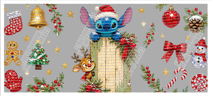 16oz Christmas-J10-3158